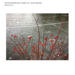 CD Shop - NORBERT RODENKIRCHEN OPALESCENCE