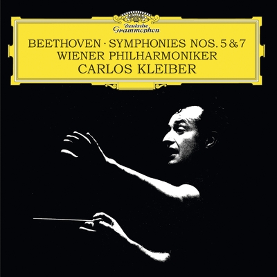 CD Shop - MUNICH CHAMBER ORCHESTRA,ENRICO ONOFRI BEETHOVEN & THE IT...
