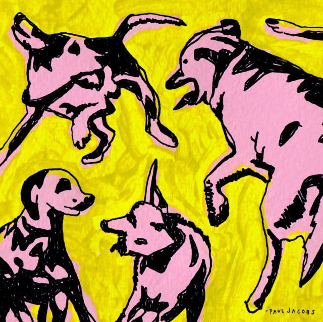 CD Shop - PAUL JACOBS PINK DOGS ON THE GREEN...