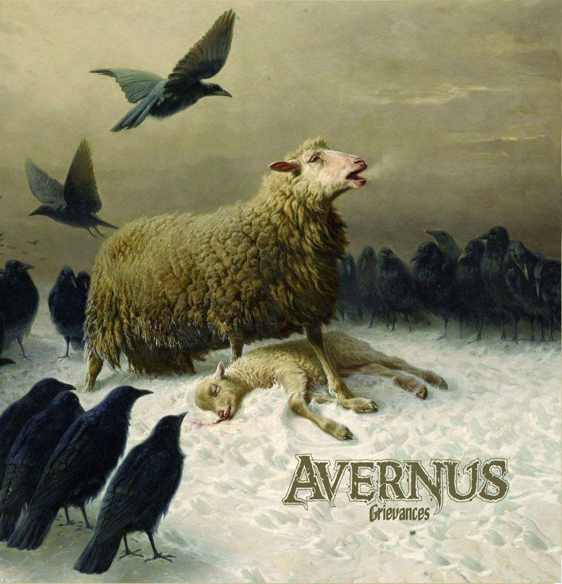 CD Shop - AVERNUS GRIEVANCES