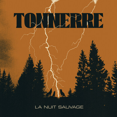 CD Shop - TONNERRE LA NUIT SAUVAGE