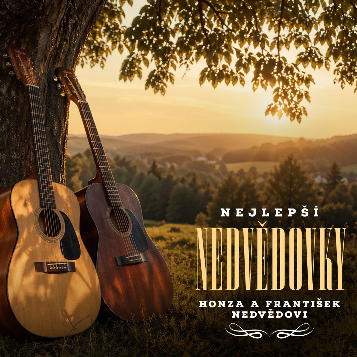 CD Shop - NEDVEDI HONZA A FRANTISEK NEJLEPSI NEDVEDOVKY