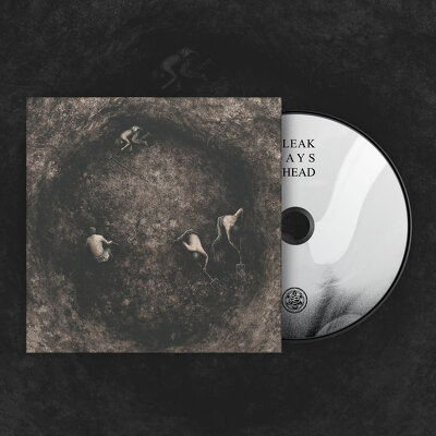 CD Shop - PURE WRATH BLEAK DAYS AHEAD