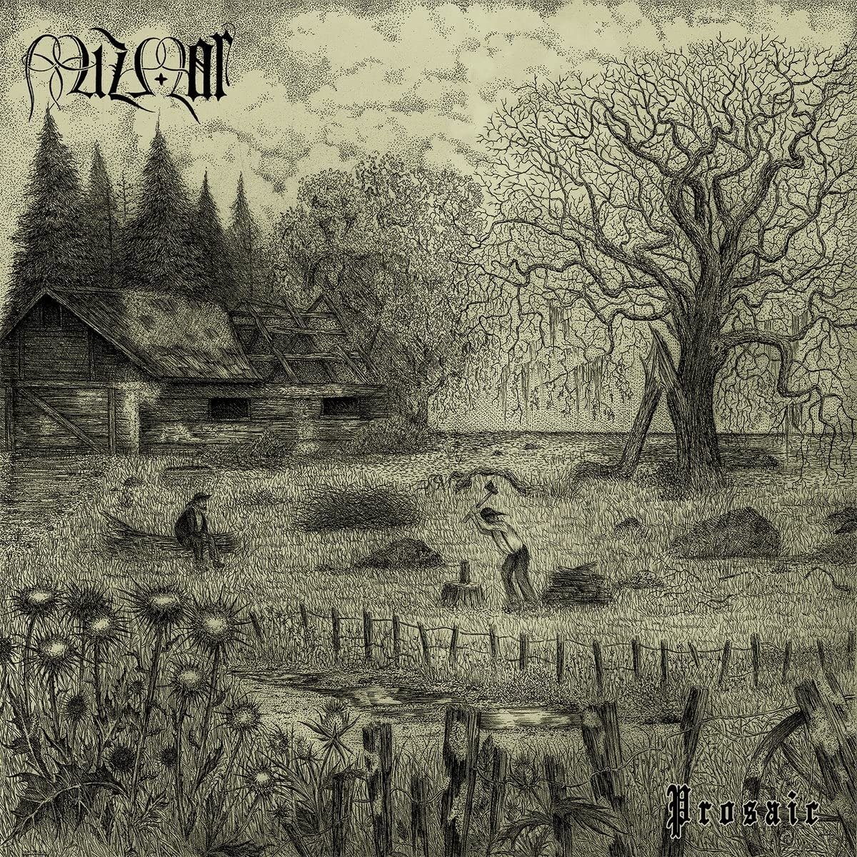 CD Shop - MIZMOR Mizmor - Prosaic