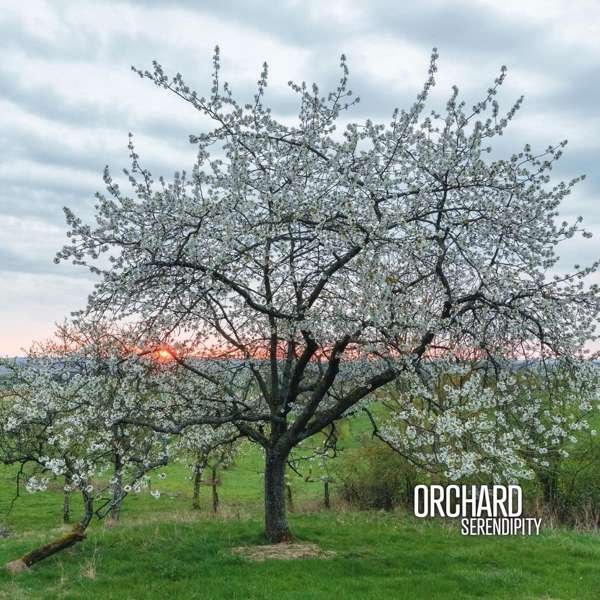 CD Shop - ORCHARD (AIDAN BAKER, GASPAR CLAUS, FRANCK LAURINO SERENDIPITY