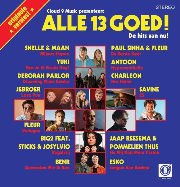 CD Shop - VARIOUS ARTISTS ALLE 13 GOED!