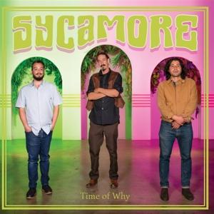 CD Shop - SYCAMORE TIME OF WHY