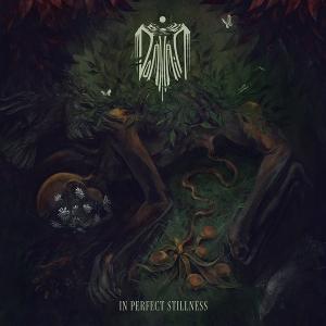 CD Shop - DOMHAIN IN PERFECT STILLNESS
