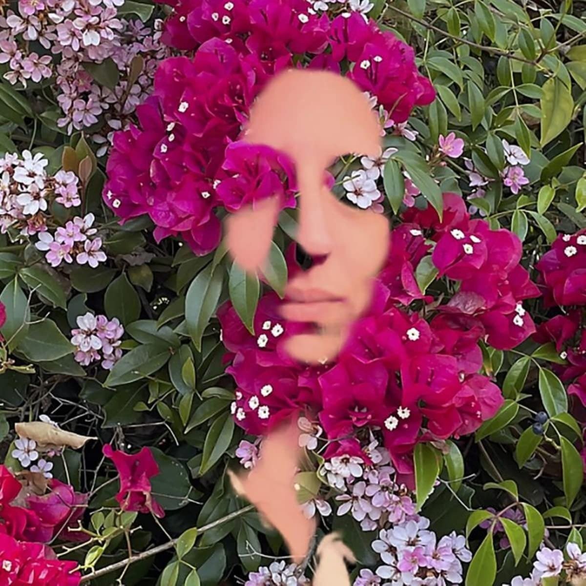 CD Shop - DAISY PRESS YOU ARE THE FLOWER