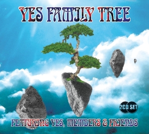 CD Shop - VARIOUS ARTISTS YES FAMILY TREE