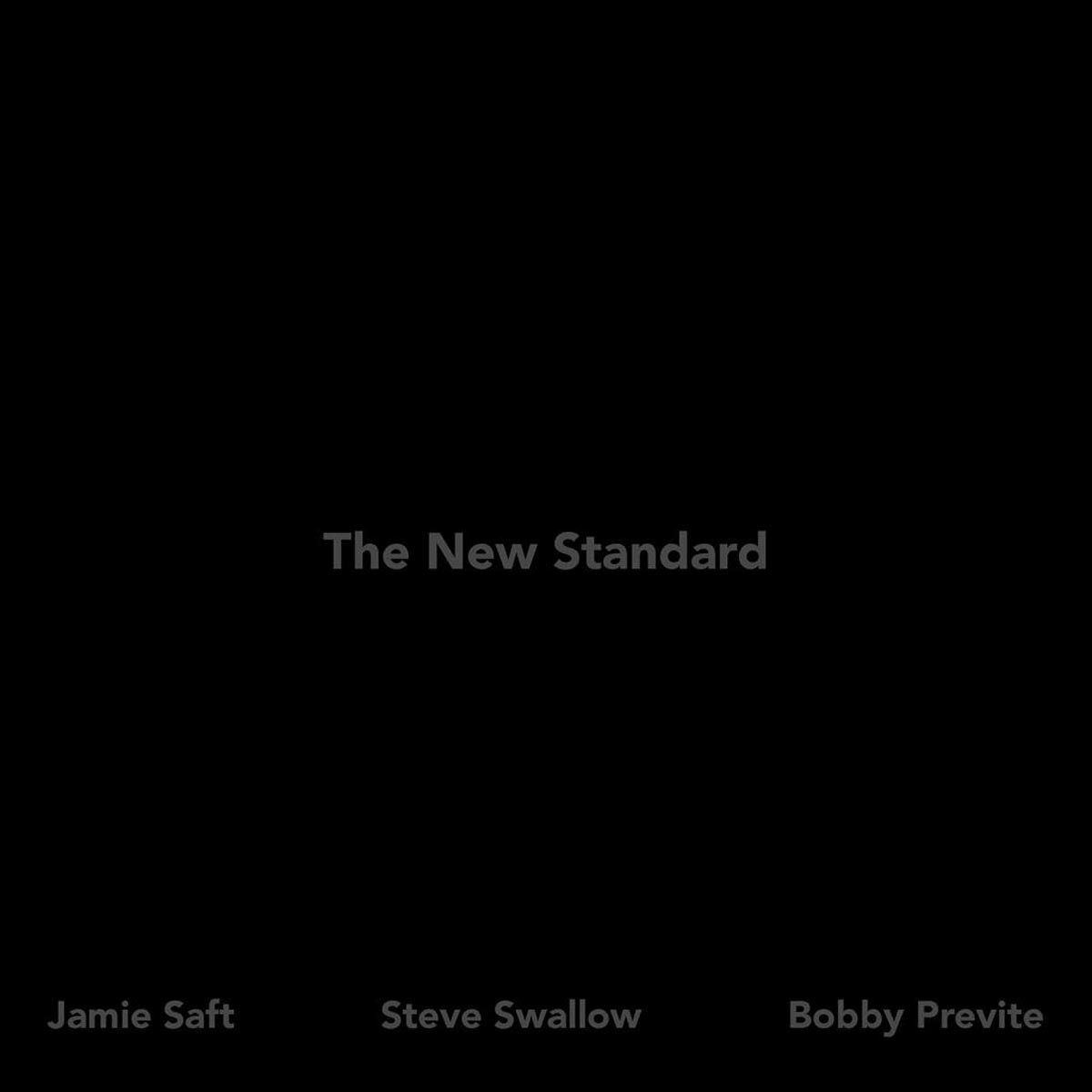 CD Shop - JAMIE SAFT,STEVE SWALLOW,BOBBY PREVITE THE NEW STANDARD