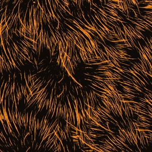 CD Shop - PROJECT PABLO HOPE YOU\
