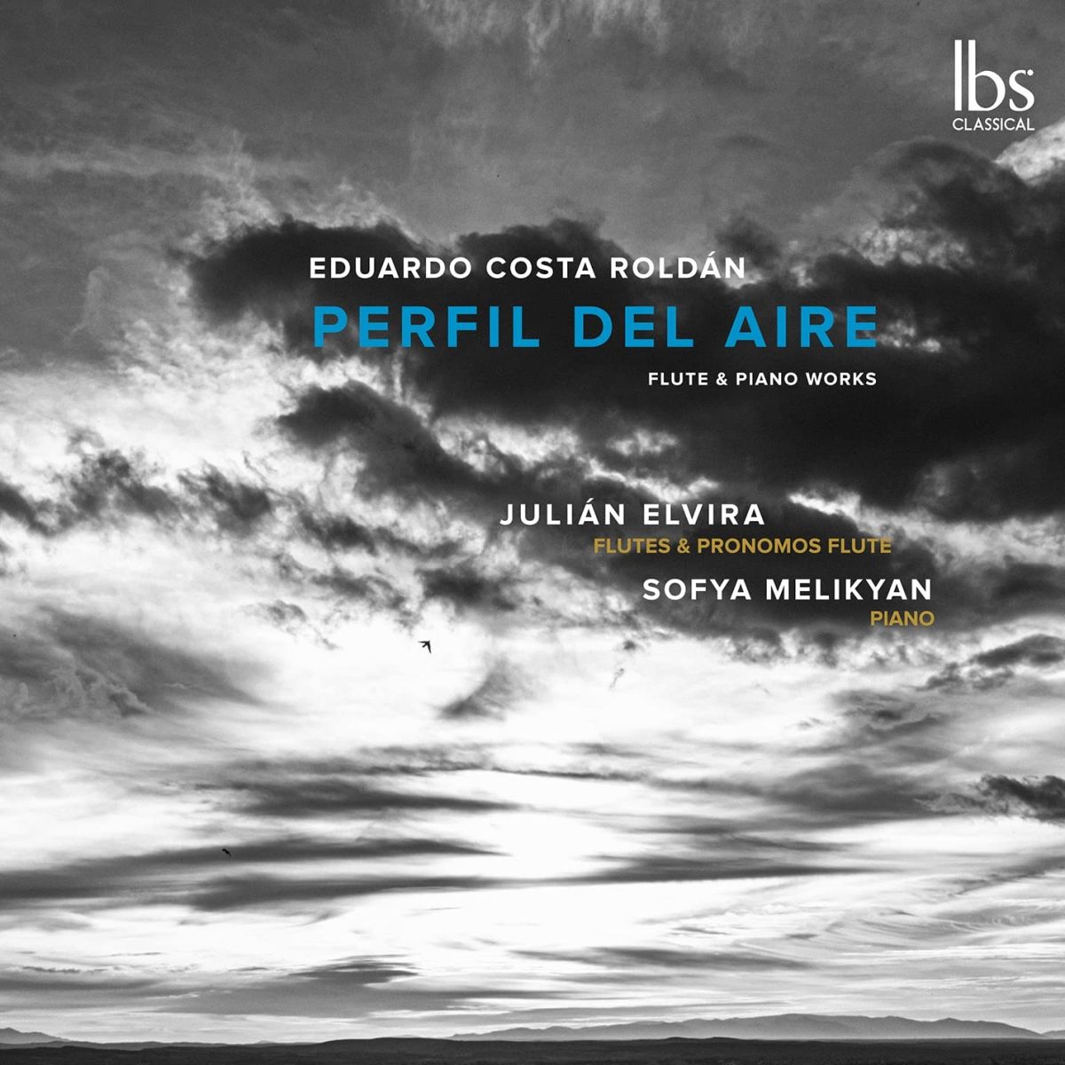 CD Shop - JULIáN ELVIRA,SOFYA MELIKYAN ROLDAN: PERFIL DEL AIRE