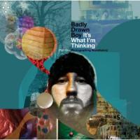 CD Shop - BADLY DRAWN BOY IT\