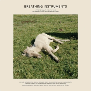 CD Shop - VARIOUS ARTISTS BREATHING INSTRUMENTS
