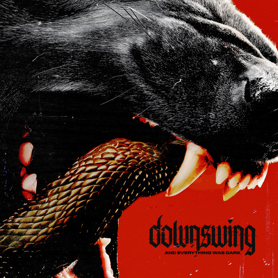 CD Shop - DOWNSWING AND EVERYTHING WAS DARK