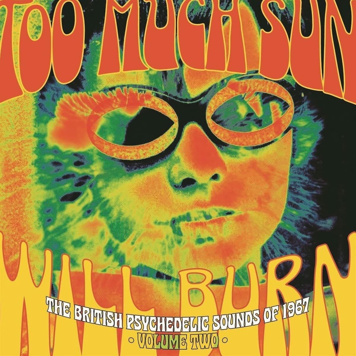 CD Shop - VARIOUS ARTISTS TOO MUCH SUN WILL BURN...