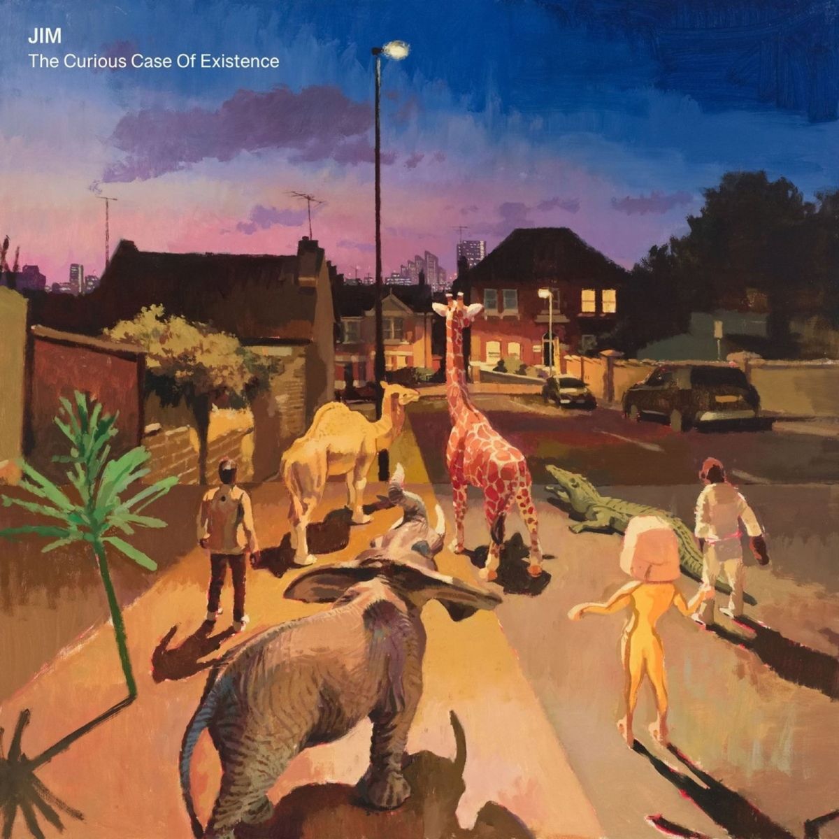 CD Shop - JIM THE CURIOUS CASE OF EXISTENCE