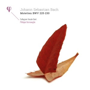 CD Shop - FRANK PETER ZIMMERMANN MOTETTEN BWV 225-230