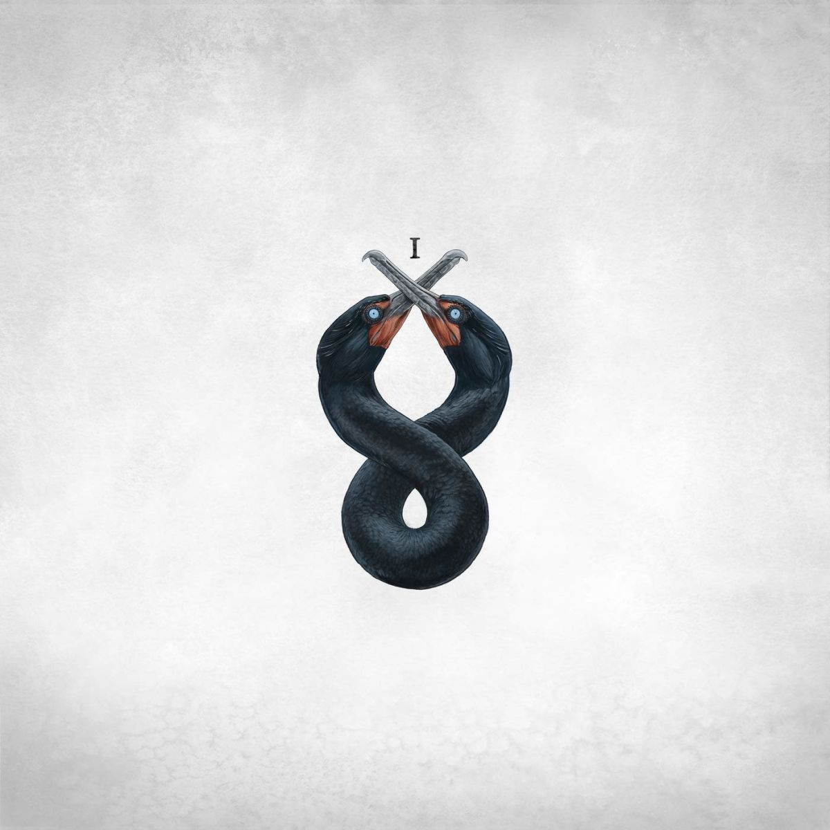 CD Shop - SAN FERMIN THE CORMORANT I