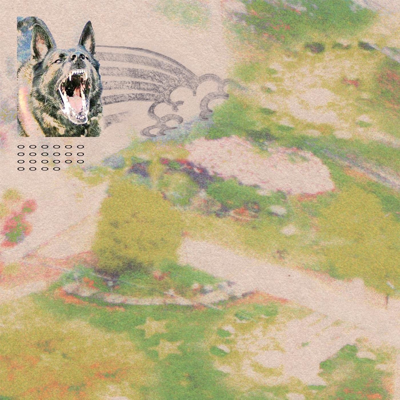 CD Shop - FEEBLE LITTLE HORSE GIRL WITH FISH