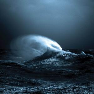 CD Shop - MARK MOLNAR EXO