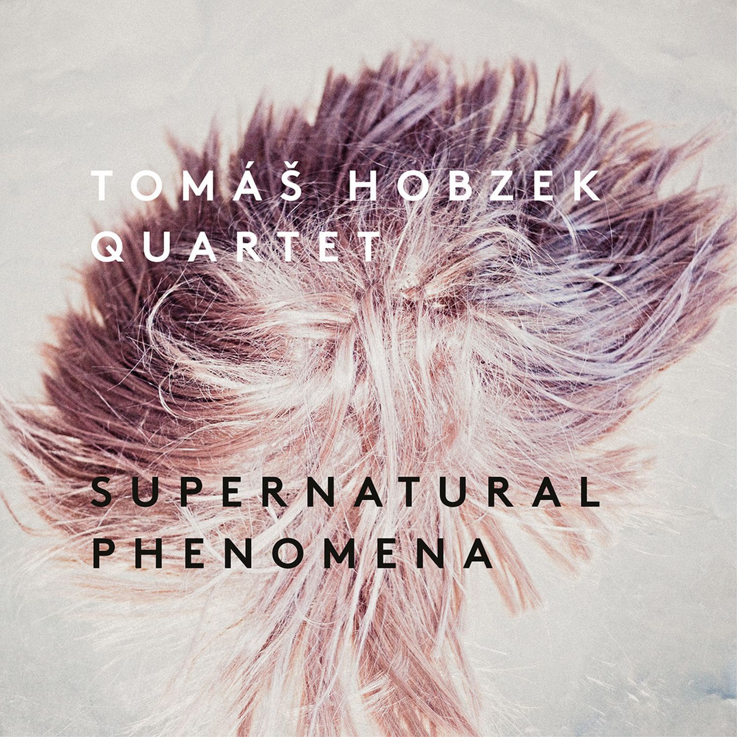 CD Shop - TOMAS HOBZEK QUARTET SUPERNATURAL PHENOMENA