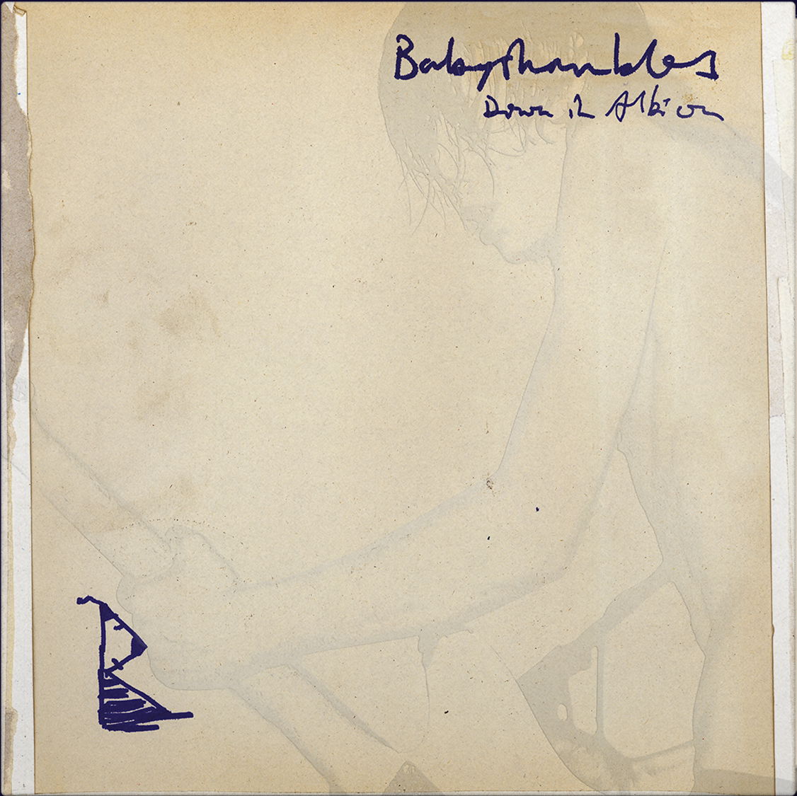 CD Shop - BABYSHAMBLES DOWN IN ALBION
