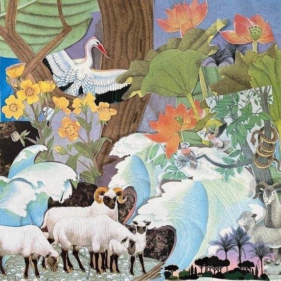 CD Shop - LIGHT BEAMS WILD LIFE