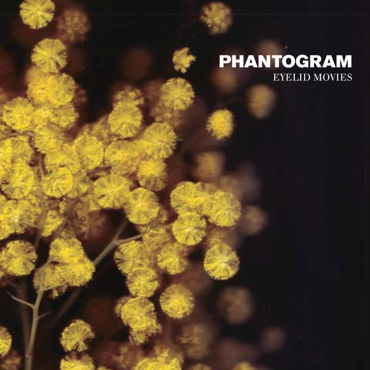 CD Shop - PHANTOGRAM EYELID MOVIES