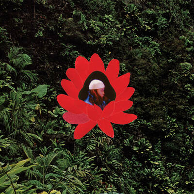 CD Shop - LIONMILK WHEN THE FLOWERS BLOOM