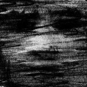 CD Shop - BORN ERASED BIRDS DRINK MY BLOOD