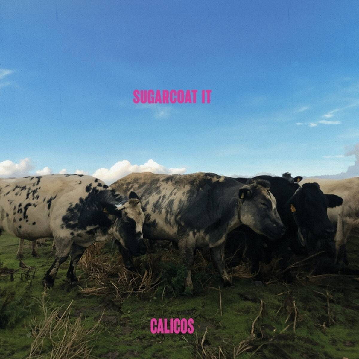 CD Shop - CALICOS SUGARCOAT IT