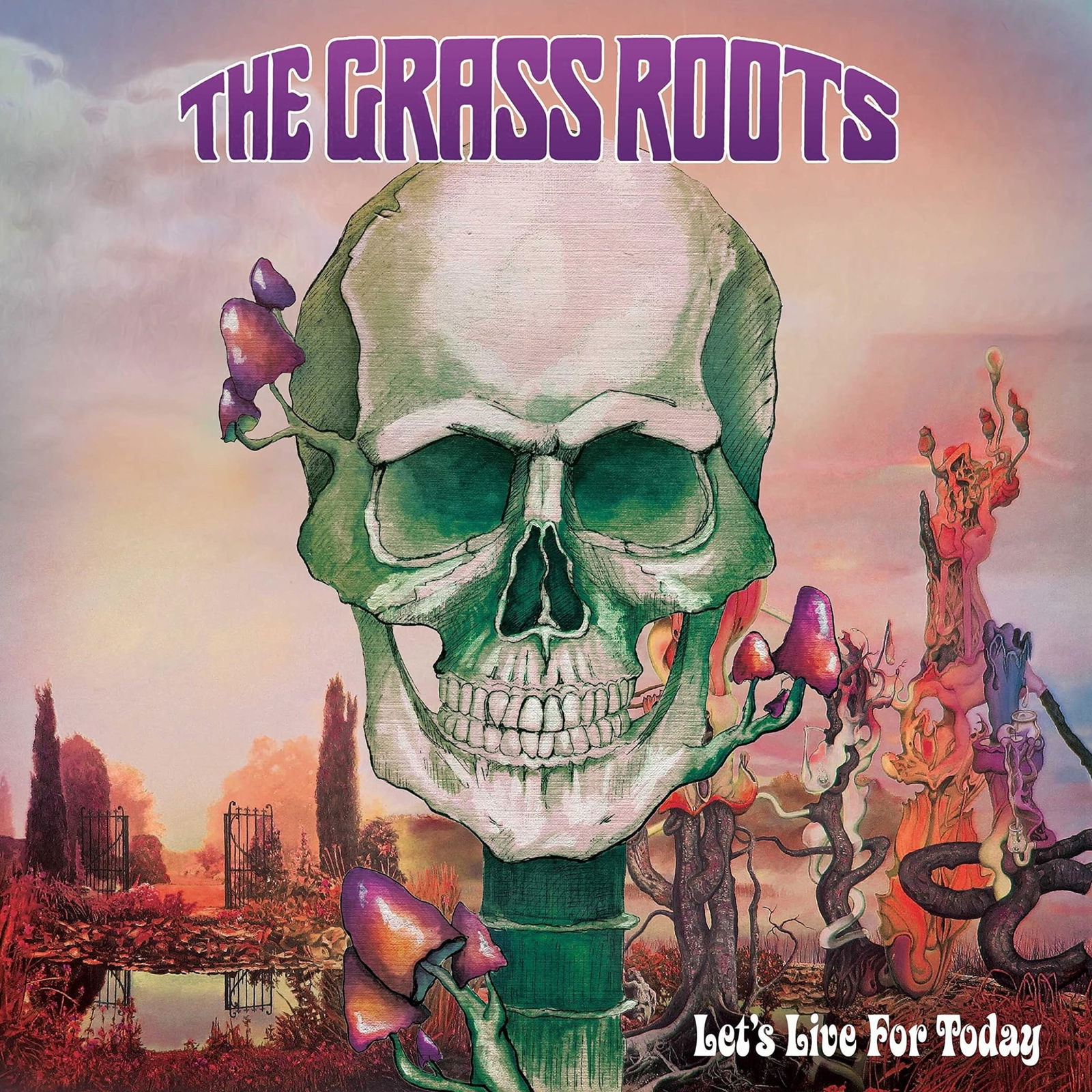 CD Shop - GRASS ROOTS LET\