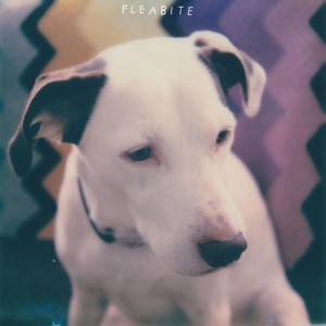 CD Shop - FLEABITE NVM