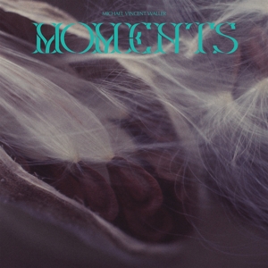 CD Shop - MICHAEL VINCENT WALLER MOMENTS