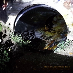 CD Shop - RADICAL EMPATHY TRIO REALITY AND OTHER IMAG...