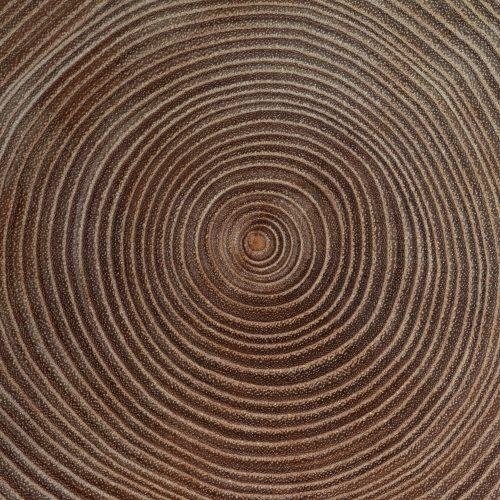 CD Shop - MUSIC FROM THE 13TH CENTURY MOKSHA