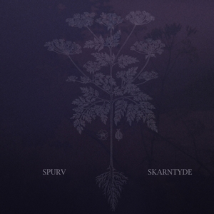 CD Shop - SPURV SKARNTYDE