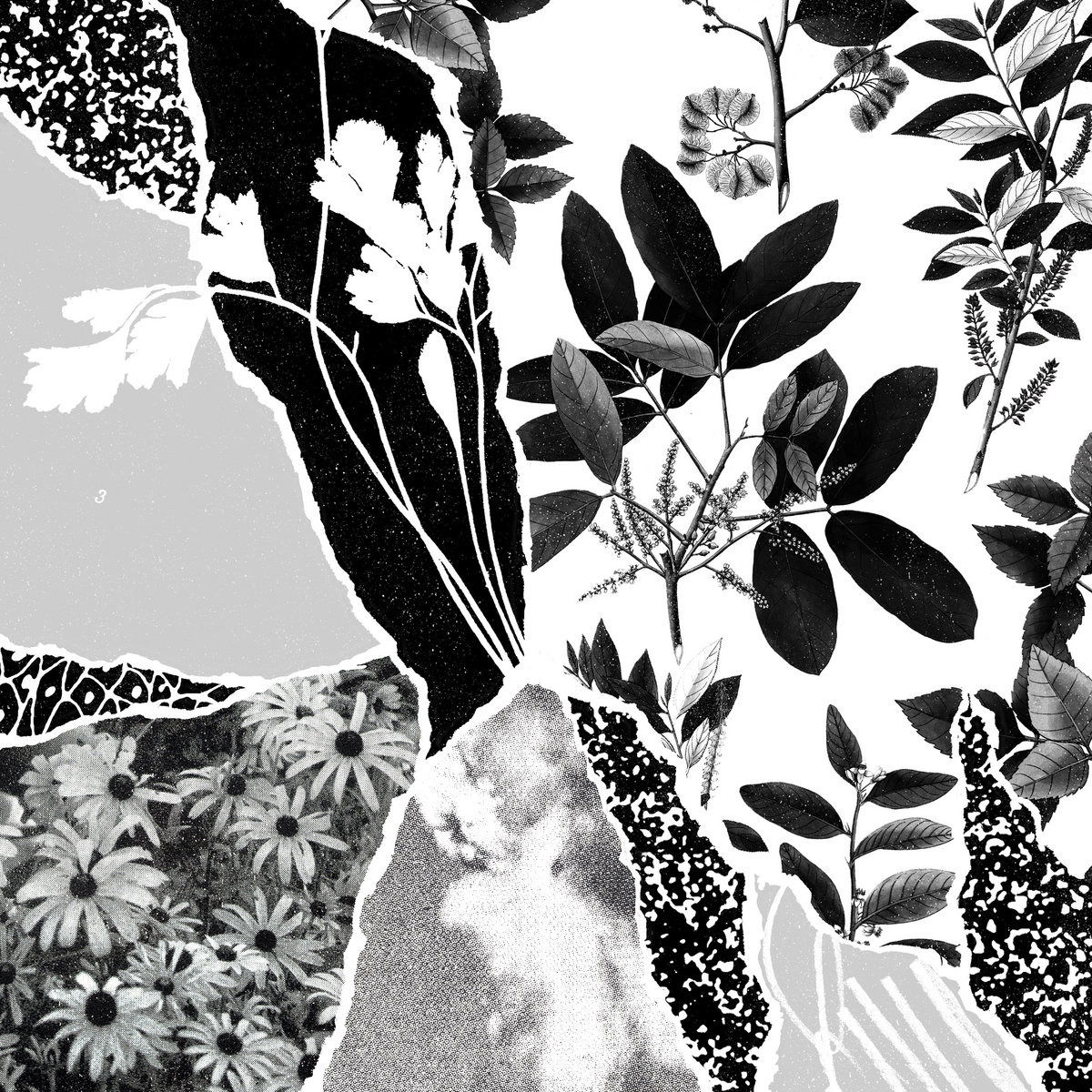 CD Shop - PONCTUATION MON HERBIER DU MONDE E...
