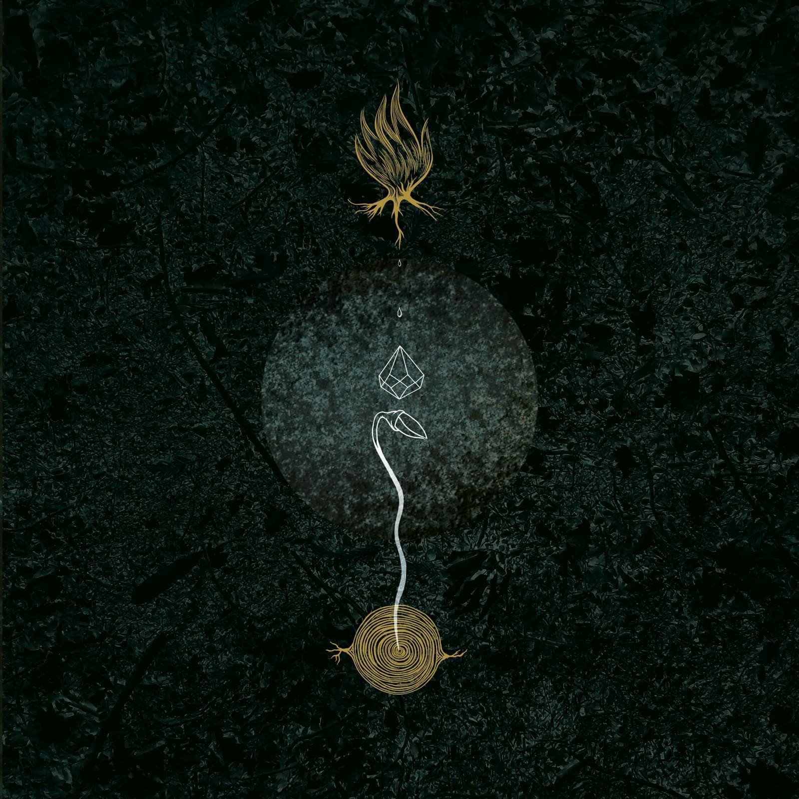 CD Shop - BOSCO SACRO GEM