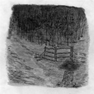 CD Shop - TELEPATHE FAREWELL FOREST