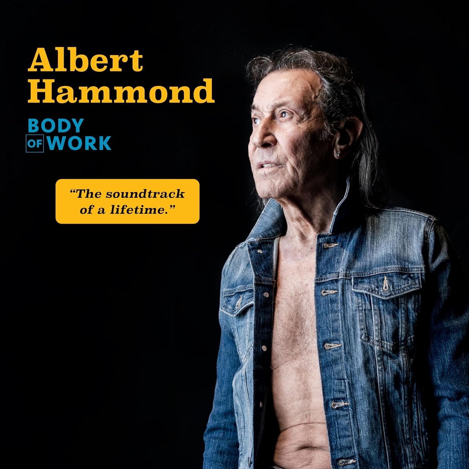 CD Shop - ALBERT HAMMOND BODY OF WORK