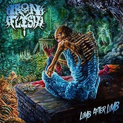 CD Shop - IRON FLESH LIMB AFTER LIMB