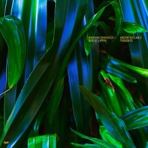 CD Shop - ANUSHKA CHKHEIDZE,ROBERT LIPPOK UNCONTROLLABLE THOUGHTS