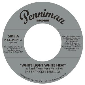 CD Shop - THE SHITKICKER REBELLION 7-WHITE LIGHT WHITE HE...