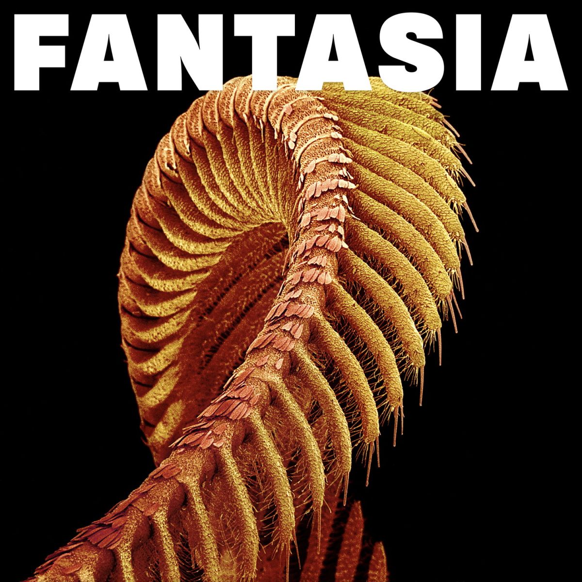 CD Shop - SLIFT FANTASIA
