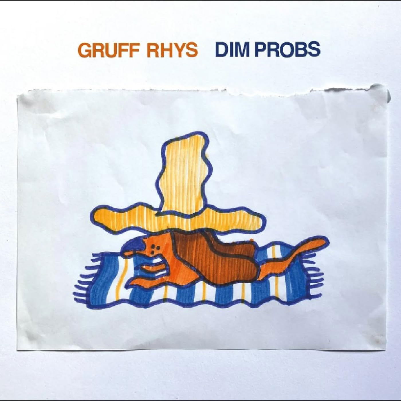 CD Shop - GRUFF RHYS DIM PROBS