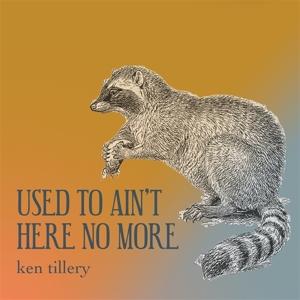 CD Shop - KEN TILLERY USED TO AIN\