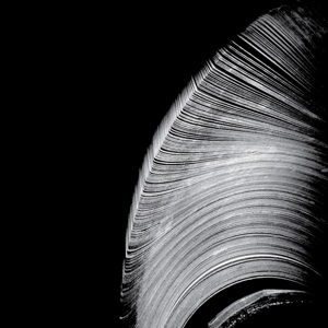 CD Shop - NEAR THE PARENTHESIS HELICAL